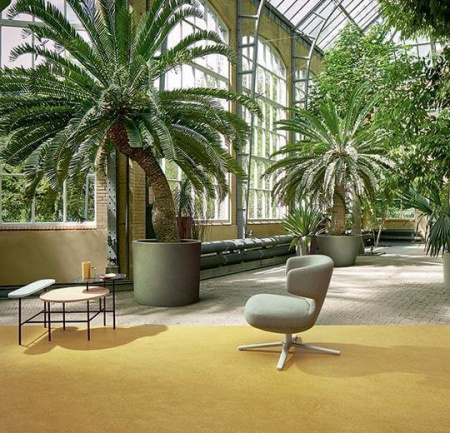 Натуральный линолеум 3259 mustard (Forbo Marmoleum Fresco)