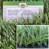 Искусственная трава Sportfloor TURF 60/13s