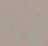 Натуральный линолеум Marmoleum Concrete 3712 orange shimmer