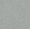 Натуральный линолеум 3889 cinder (Forbo Marmoleum Fresco)